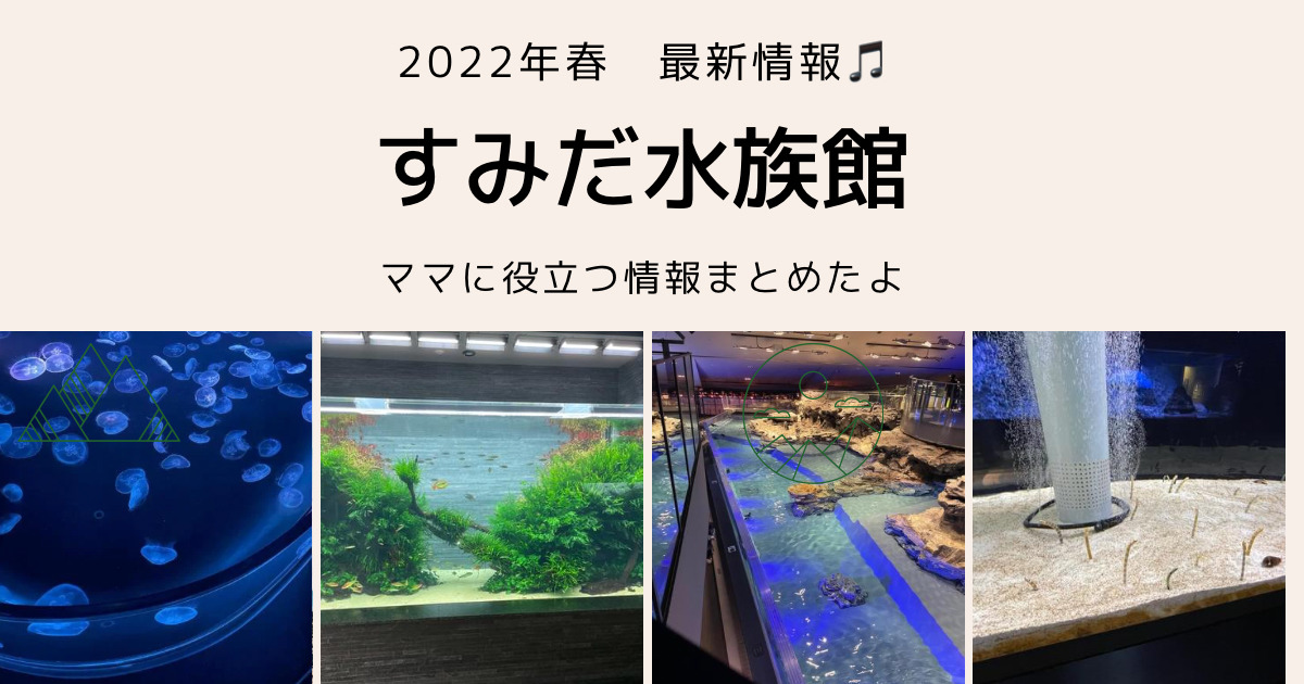 【2022年最新】大好き🎵すみだ水族館に行ってみた（年パス情報有）