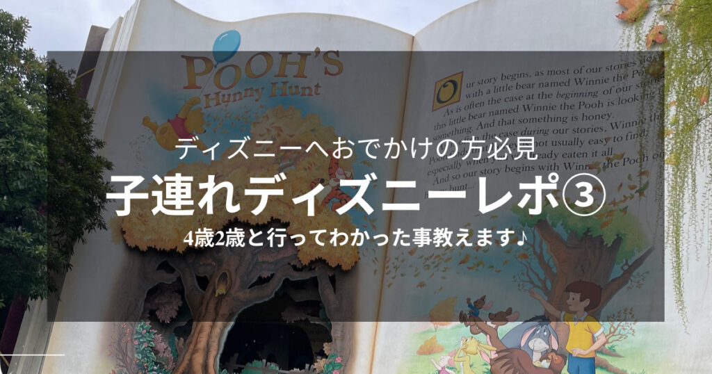 4歳2歳と行くディズニーランド えんママ家の子連れディズニーレポ えんさんち 4歳2歳と行くディズニーランド えんママ家の子連れディズニーレポ えんさんち